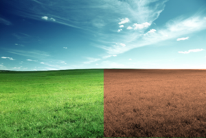 Brownfield vs Greenfield small