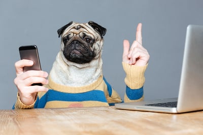 App developer